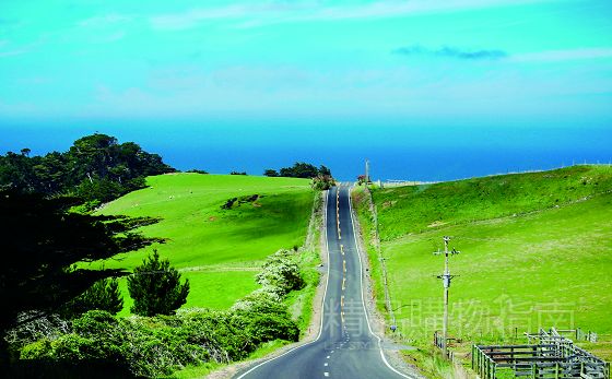 爱情马拉松终将跑不过一场牵手旅行?|牵手旅行