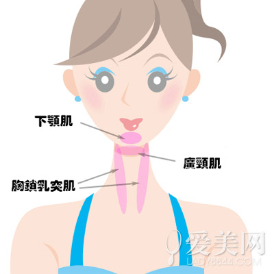  每天3分钟刺激下颚肌肉 轻松消除双下巴 