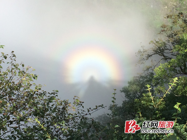 张家界天门山景区再现五彩佛光(组图)