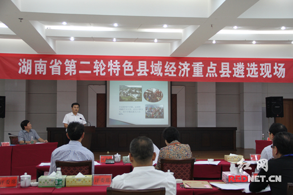湖南省第二轮特色县域经济重点县特色制造业组遴选现场