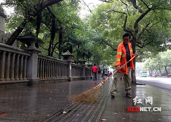 每个人负责200-300米路段的环卫，需要不停来回清扫才能够维系洁净。