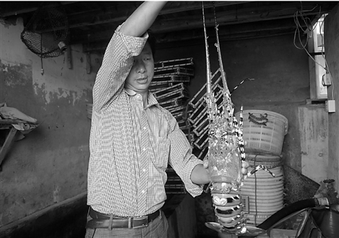 渔民捕获一只罕见的大龙虾 重达4斤(图)