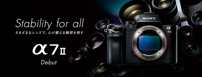 春卷博客 索尼A7 A7S A7R A7II该怎么选