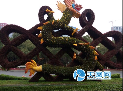 塑料龙鳞花朵散落