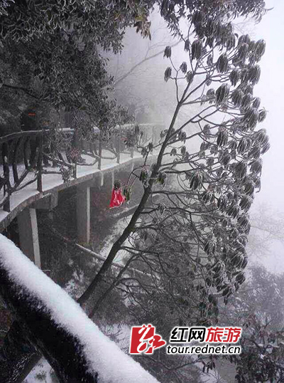 天门山降下今冬初雪。龚妙婵 摄