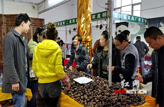 5日，为期4天的湖南省第13届茶业茶文化博览会暨第15届文化艺术收藏品展在长沙开幕。