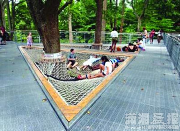 大树平台。