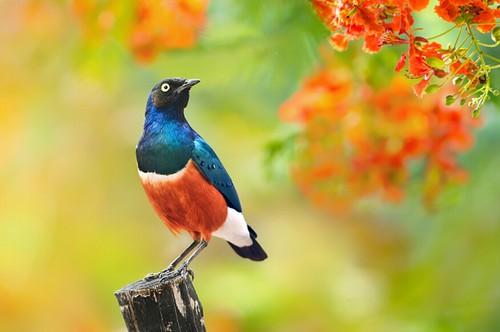 新年新目标 提升个人水平的10个摄影计划|摄影