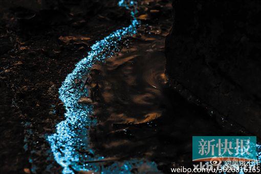 ■网友供图