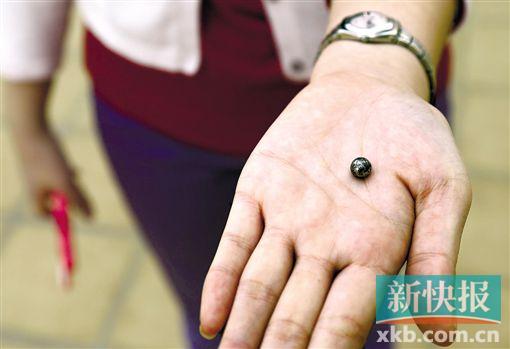 ■住户称,就是这种小钢珠将窗户玻璃打破。