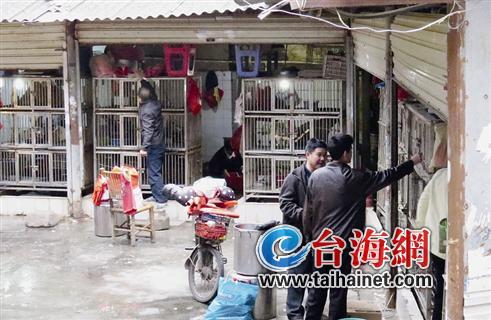 ▲岛内活禽摊位，将全部改造成更规范更安全的白条禽档口