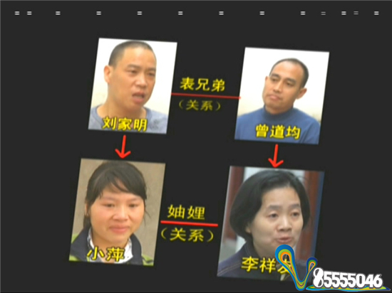 视频截图