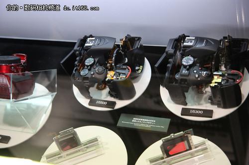 尼康D810A、D5500真机实拍|尼康D810A_数码