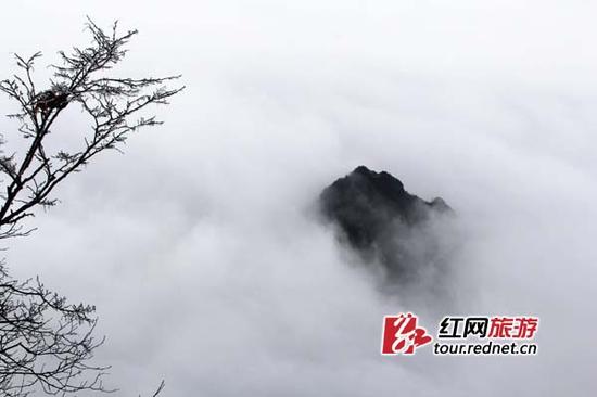 丁云娟摄 大年初五天门山雾凇花开云海涌 游客爆满一票难求 (9)副本