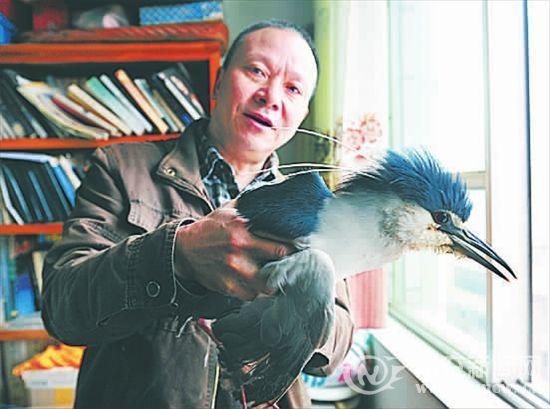 陈世荣和他收留的“怪鸟”