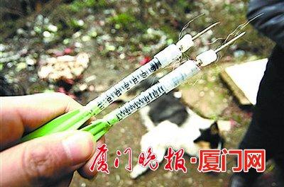 中毒镖后，狗一般撑不了几分钟。（资料图）