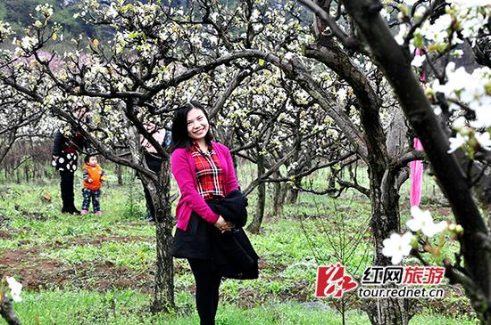 2014年梨花文化旅游节期间，游客在梨花丛中留影。