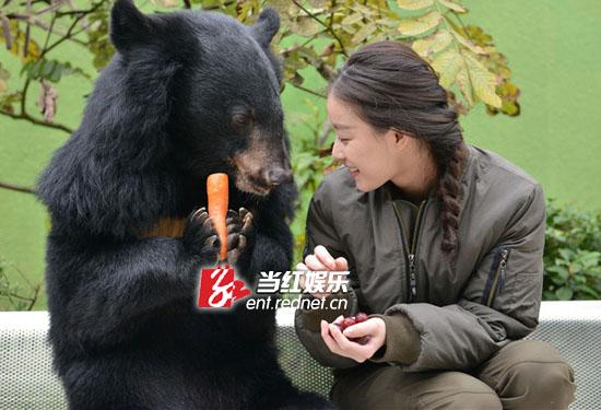 倪妮与黑熊互动很大胆