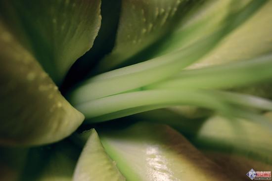 轻薄触控单反2in1 尼康D5500首发评测