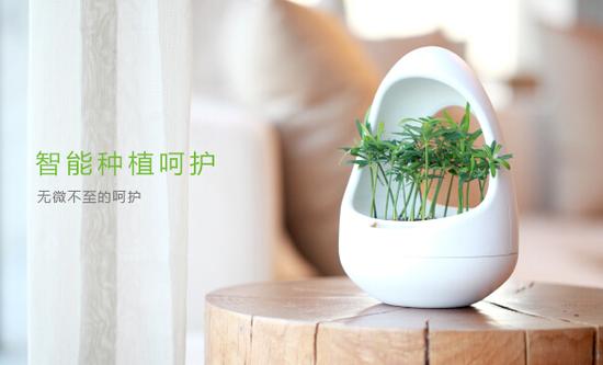 智能盆栽你了解么?三款智能绿植速览