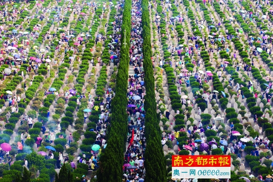 昨天是正清日,在顺德大良飞鹅墓园,从早上7点多开始,不少市民就带着烧猪、甘蔗、元宝蜡烛等祭品陆续前来扫墓祭祖。祭拜人流量高峰出现在上午9点到10点钟之间。南都记者 郑俊彬 摄