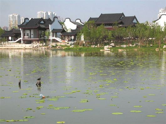 图为：目前沙湖公园内，不少湖岸也是“原生态”(资料图片)