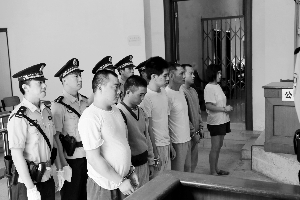 昨日,番禺法院禁毒宣判大会上,一众被告在庭上听判。 信息时报记者 陈引 通讯员 沈婉婷 摄