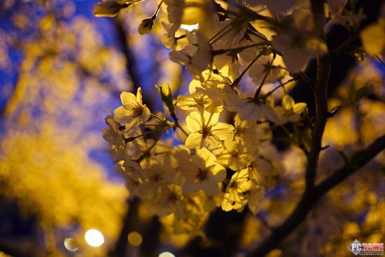 全幅微单镜头 索尼FE24-240mm和FE28mm评