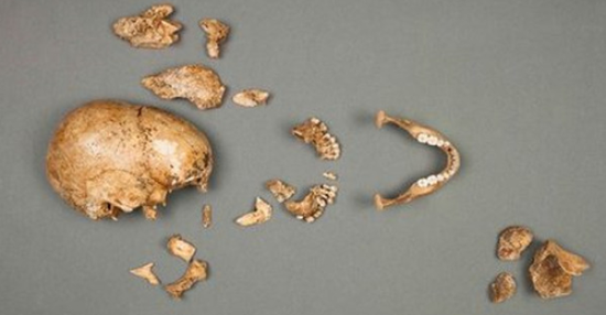 波兰渔民捕巨型鲇鱼 腹内发现纳粹军官遗体