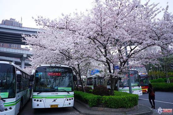 全幅微单镜头 索尼FE24-240mm和FE28mm评测