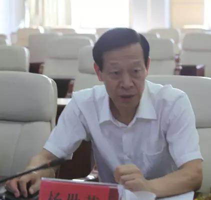湖南省发改委原党组成员、总经济师杨世芳