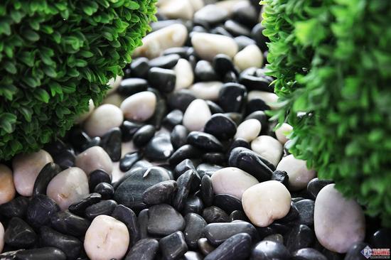 为了摄影的梦想而生 佳能750D\/760D评测|佳能