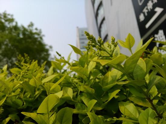 쵽Ļȥ ֻ΢Ӱ