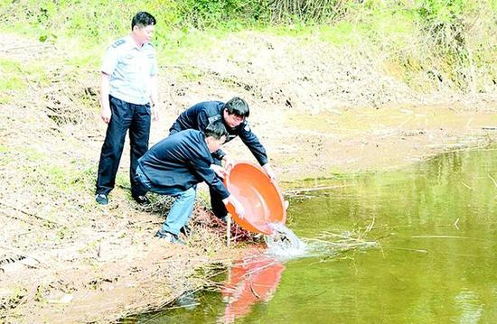 岳阳一村民捕获4.1公斤重90厘米长“娃娃鱼”