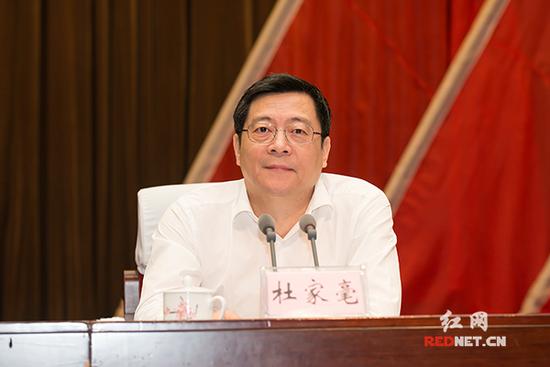 湖南省委副书记、省政府省长杜家毫讲话。