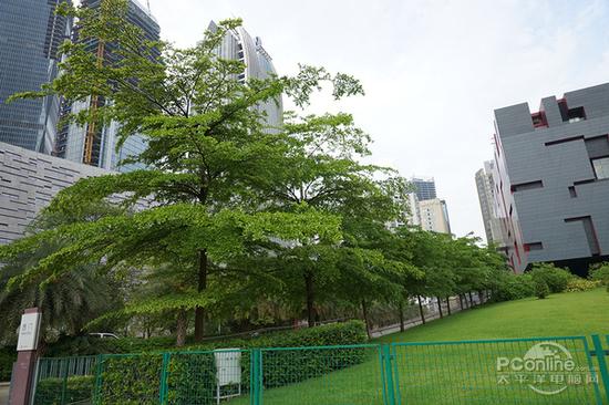 焕然一新 索尼24-70mm F2.8 II镜头评测|配件|佳