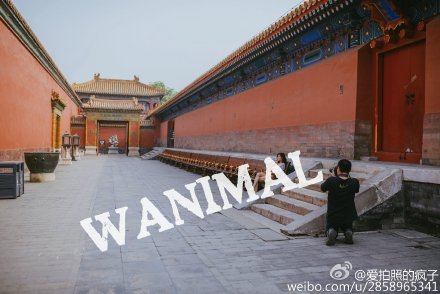 王动在故宫拍摄人体艺术照