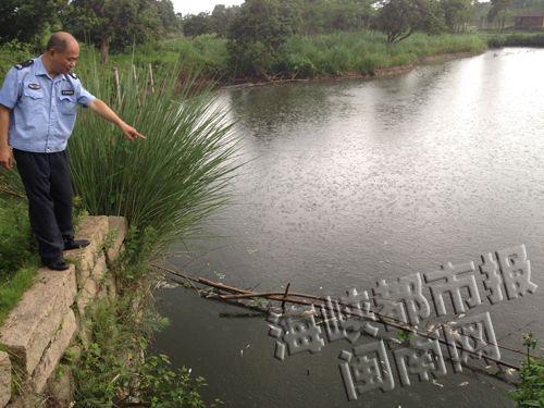 死鱼翻白漂浮在水面