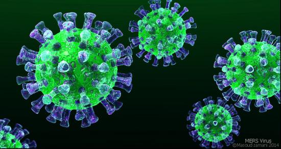 MERS，中東呼吸道症候群病毒3D畫面。(圖／Scinceside CC3.0)