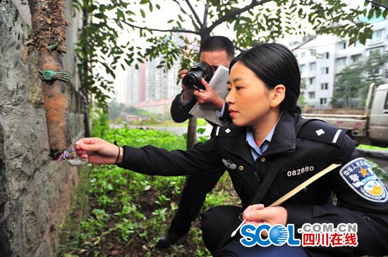 最美女法医王艳