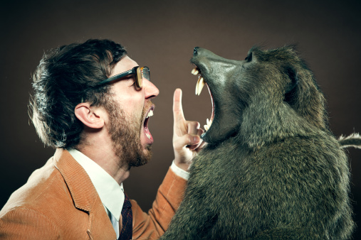 哪个星座是最爱拆台的毒舌损友?(组图)_新浪星座_新浪网