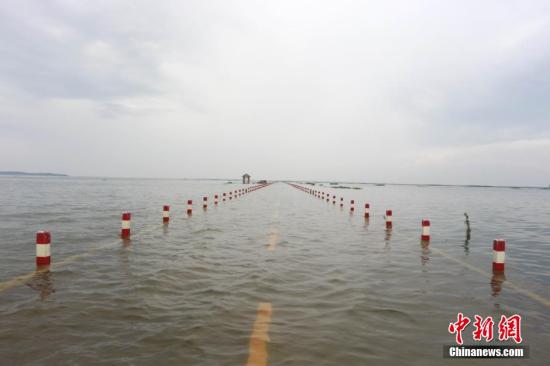 入汛以来，江西遭遇连续强降雨，赣江、修河流域出现入汛以来最大的暴雨洪水过程，保护区核心湖大湖池公路全部被淹，陆地交通中断。受此影响，中国最大淡水湖鄱阳湖水位连续上涨，此前被网友赞为“最美水上公路”的永吴公路再次出现。图为6月15日拍摄的永吴公路。中新社发 吕胜华 摄