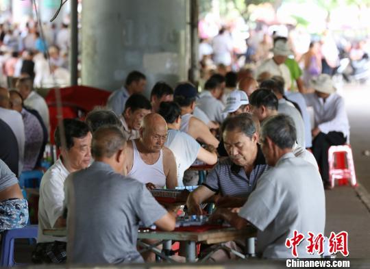 在江西省会南昌八一桥桥墩下，许多老年民众在桥下娱乐避暑。姜涛 摄