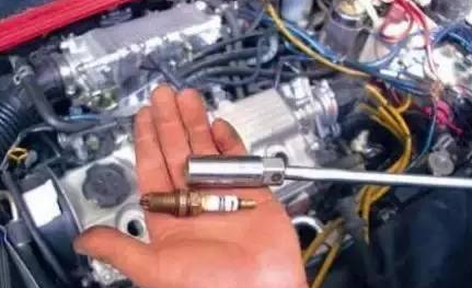 QQ图片20150701153631