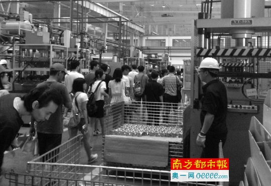 台山举行公益夏令营 50名大学生重新认识家乡