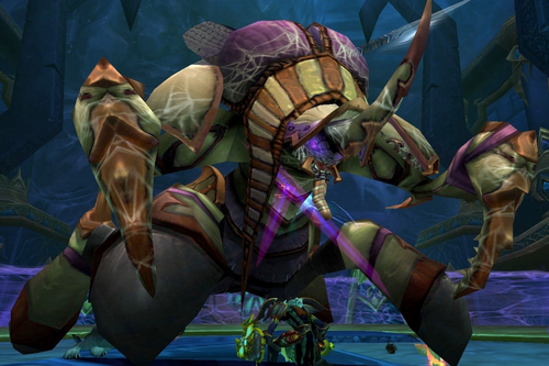 投票妹子出炉！下一轮要小强还是要妹子