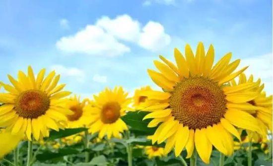 点击图片进入下一页