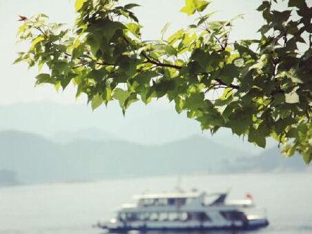 点击图片进入第一页