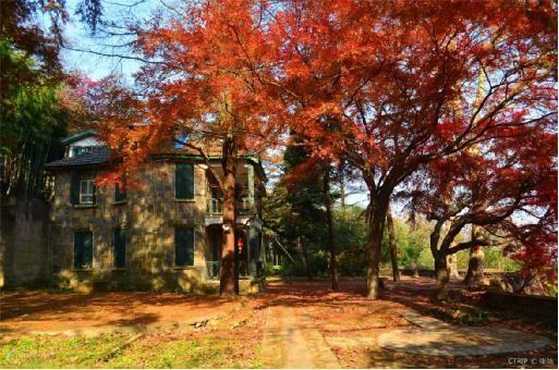 点击图片进入第一页