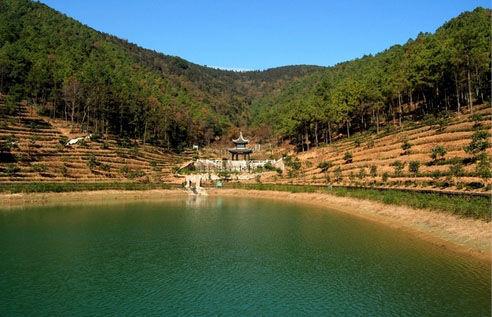 点击图片进入下一页